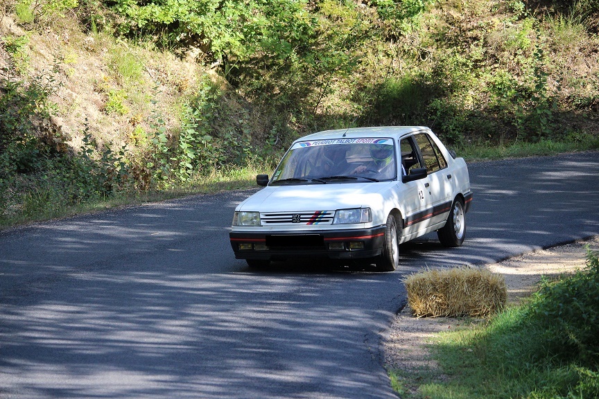 PEUGEOT 309 GTI