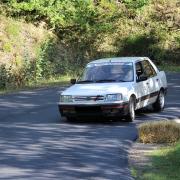 PEUGEOT 309 GTI